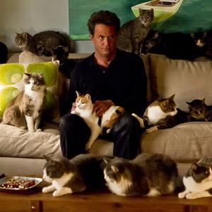 Still of Matthew Perry in Go On He Got Game She Got Cats 2012