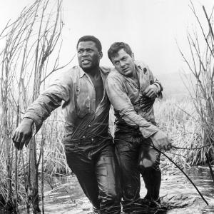 Still of Tony Curtis and Sidney Poitier in The Defiant Ones 1958