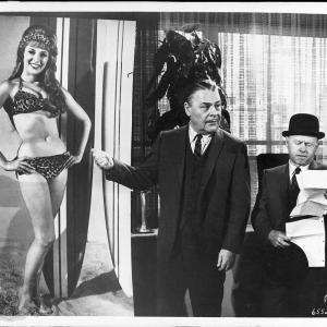 Still of Mickey Rooney and Beverly Adams in How to Stuff a Wild Bikini 1965