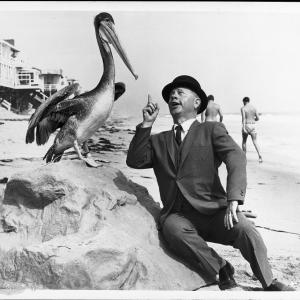 Still of Mickey Rooney in How to Stuff a Wild Bikini (1965)
