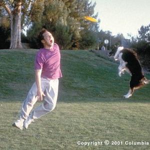 Still of Rob Schneider in The Animal (2001)