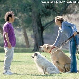 Still of Rob Schneider and Colleen Haskell in The Animal 2001
