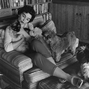 Jean Simmons at Home 4141955