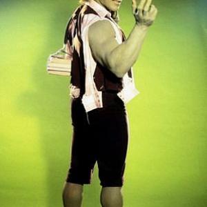 Incredible Hulk The Lou Ferrigno 1982 CBS