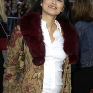 Kelly Hu at event of Daredevil 2003