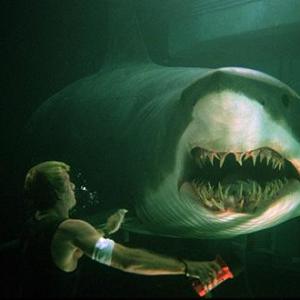 Carter confronts a shark