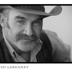 David LeReaney Western