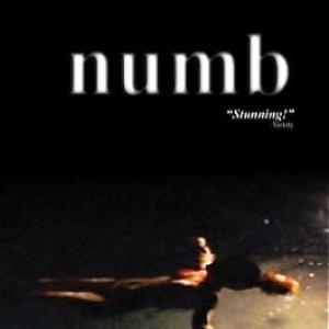 Poster from the SciFi Drama Numb2003