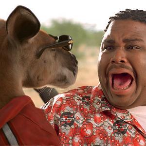 Still of Anthony Anderson in Kangaroo Jack 2003
