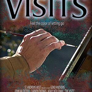 The Visits One Sheet