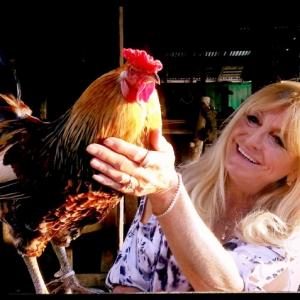 Gloria Winship and Diamond the Rooster for Safeway/Vons Commercial