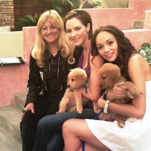 Gloria Winship Star and Goldie Golden Retriever puppies in the Pink Hoouse