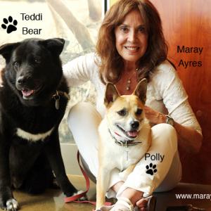 Maray Ayres Professional Dog Trainer