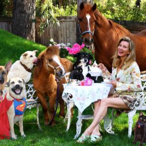 Animal Attractions TV Megans Malibu Rescue Crew Tea Party These are Megans rescued family shot in their back yard For Smileys film debut and win go to wwwSmileyTheDogcom
