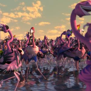 Flamingo Pride  Animation Short by Thomer Eshed