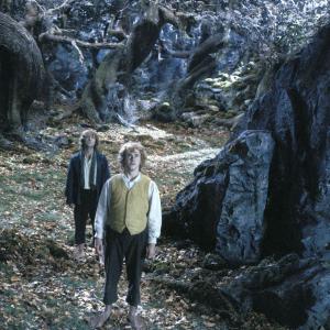 Still of Billy Boyd and Dominic Monaghan in Ziedu Valdovas: Dvi tvirtoves (2002)