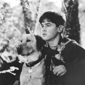 Still of Jesse Bradford in Far from Home: The Adventures of Yellow Dog (1995)