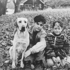 Still of Jesse Bradford and Josh Wannamaker in Far from Home The Adventures of Yellow Dog 1995