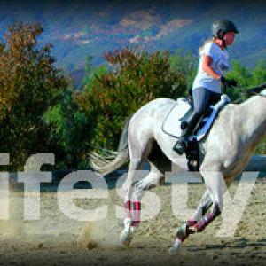 Equestrian Lifestyle with Archie's Tune