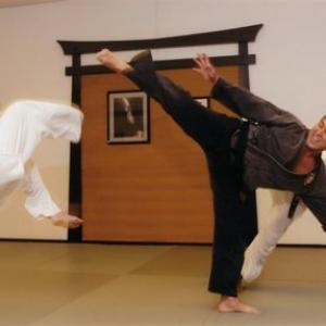 Photograph of Martial Arts Hall of Famer in action 