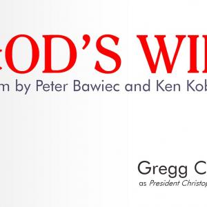 Can President Mathews save the world from a terror within Peter Bawiec brings us to our knees in his latest thriller Gods Will