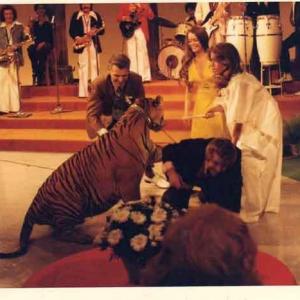 Filming on the Troy Cory Show I am in the middle my father kneeling down was nearlt attacked by this Tiger he wasnt supposed to tease him and he did!