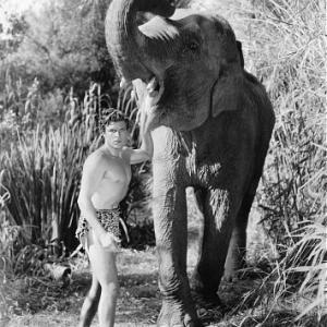 Tarzan the Fearless Buster Crabbe 1933 Principal IV