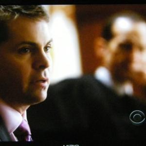 The Good Wife Wrongful Termination 2011