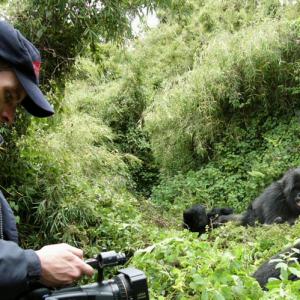 Noel Donnellon filming Mountain GorillasVirunga Volcanoes Rwanda  Democratic Republic of Congo 2003