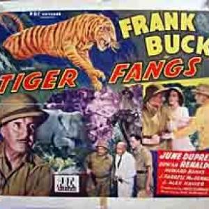 Frank Buck, June Duprez and Duncan Renaldo in Tiger Fangs (1943)
