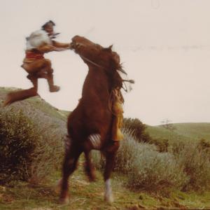 Mystic Warrior Falling Horse