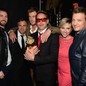 Chris Evans Scarlett Johansson Jeremy Renner Mark Ruffalo Chris Hemsworth and Robert Downey
