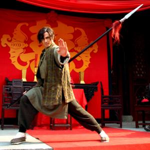 Tod as Jonathan Elders in Wushu Warrior