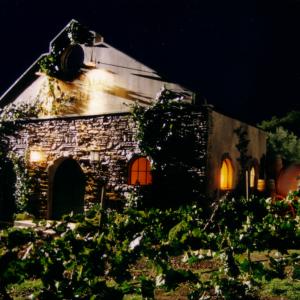 Buffy the Vampire Slayer - Vineyard Building and vines
