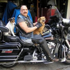 I have been Riding for over 28 years, Dogs do ride, Have road in many Commercials & films. Will Ride for U 2, Ruff Ruff