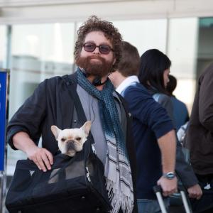 Still of Zach Galifianakis in Vingiuotas kelias namo (2010)