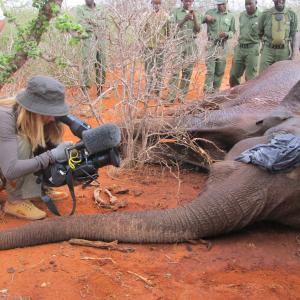 Filming a poaching victim during the while filming Discovery Networks Animal Planet series Ivory Wars