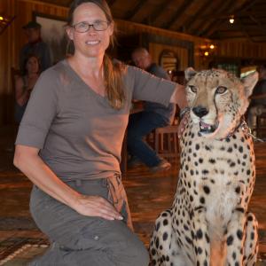 Cheetah  in Zimbabwe AFrica