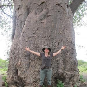 Baobab Tree Tanzania