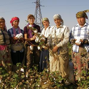 Itinerant Cotton Ladies on the road to Samarkand