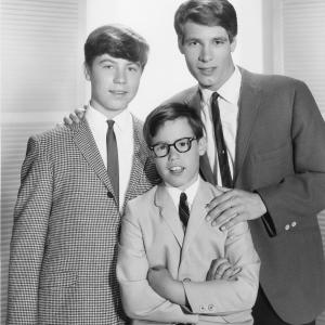 Still of Don Grady Barry Livingston and Stanley Livingston in My Three Sons 1960