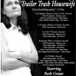 The Trials And Tribulations Of A Trailer Trash Housewife