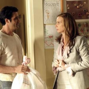 Still of Rachel Griffiths and Gilles Marini in Brothers amp Sisters 2006