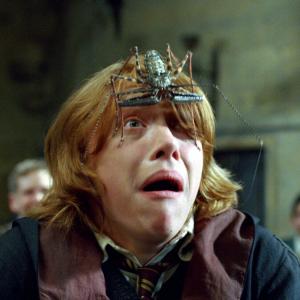 Still of Rupert Grint in Haris Poteris ir ugnies taure 2005