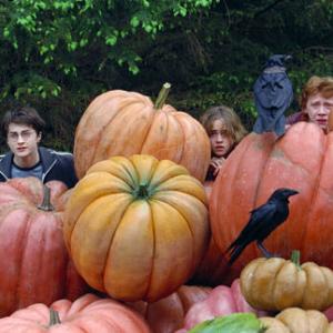 Still of Rupert Grint Daniel Radcliffe and Emma Watson in Haris Poteris ir Azkabano kalinys 2004