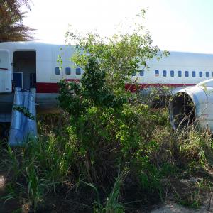 Ajira Airways missing 737 in the jungle built on location for LOST