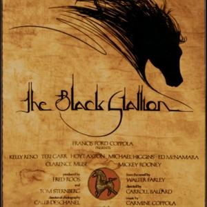 The Black Stallion poster design by Gary Gutierrez