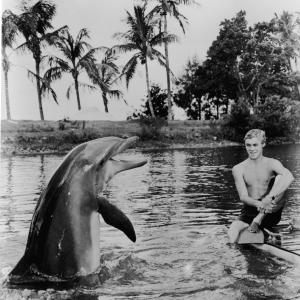 Still of Luke Halpin and Flipper in Flipper (1964)