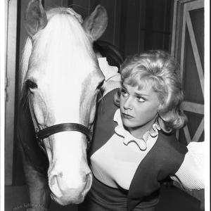 Still of Connie Hines in Mister Ed 1958