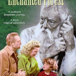 Harry Davenport Brenda Joyce Edmund Lowe and William Severn in The Enchanted Forest 1945